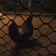 Image for article titled My Journey To Photograph All The Wildlife In The Division 2